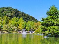 Fish Up 秋川湖 管理釣り場ポータル 全国のエリアトラウト 管釣り口コミ情報 Fish Up 秋川湖 管理釣り場ポータル 全国のエリアトラウト 管釣り口コミ情報