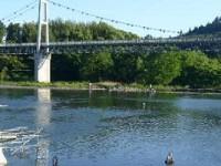 川場フィッシングプラザ 管理釣り場ポータル 全国のエリアトラウト 管釣り情報