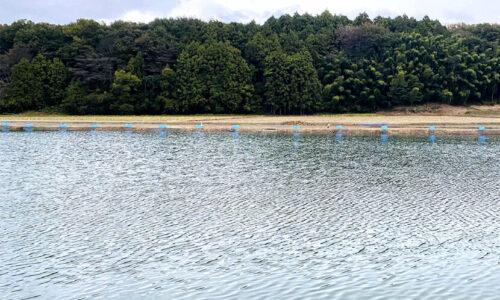 熊本養魚場の釣り池と対岸の森