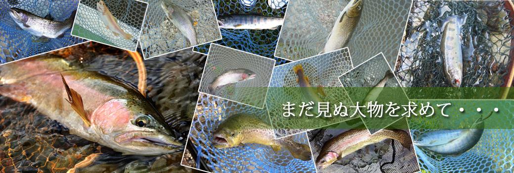 管理釣り場ポータル 全国のエリアトラウト 管釣り情報