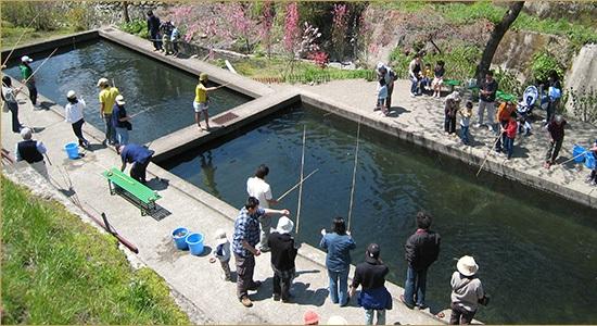 釣り堀 民宿鱒池 管理釣り場ポータル 全国のエリアトラウト 管釣り情報